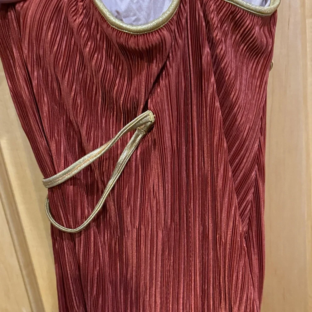 Cicci Red rust  and Gold dance costume dress size medium